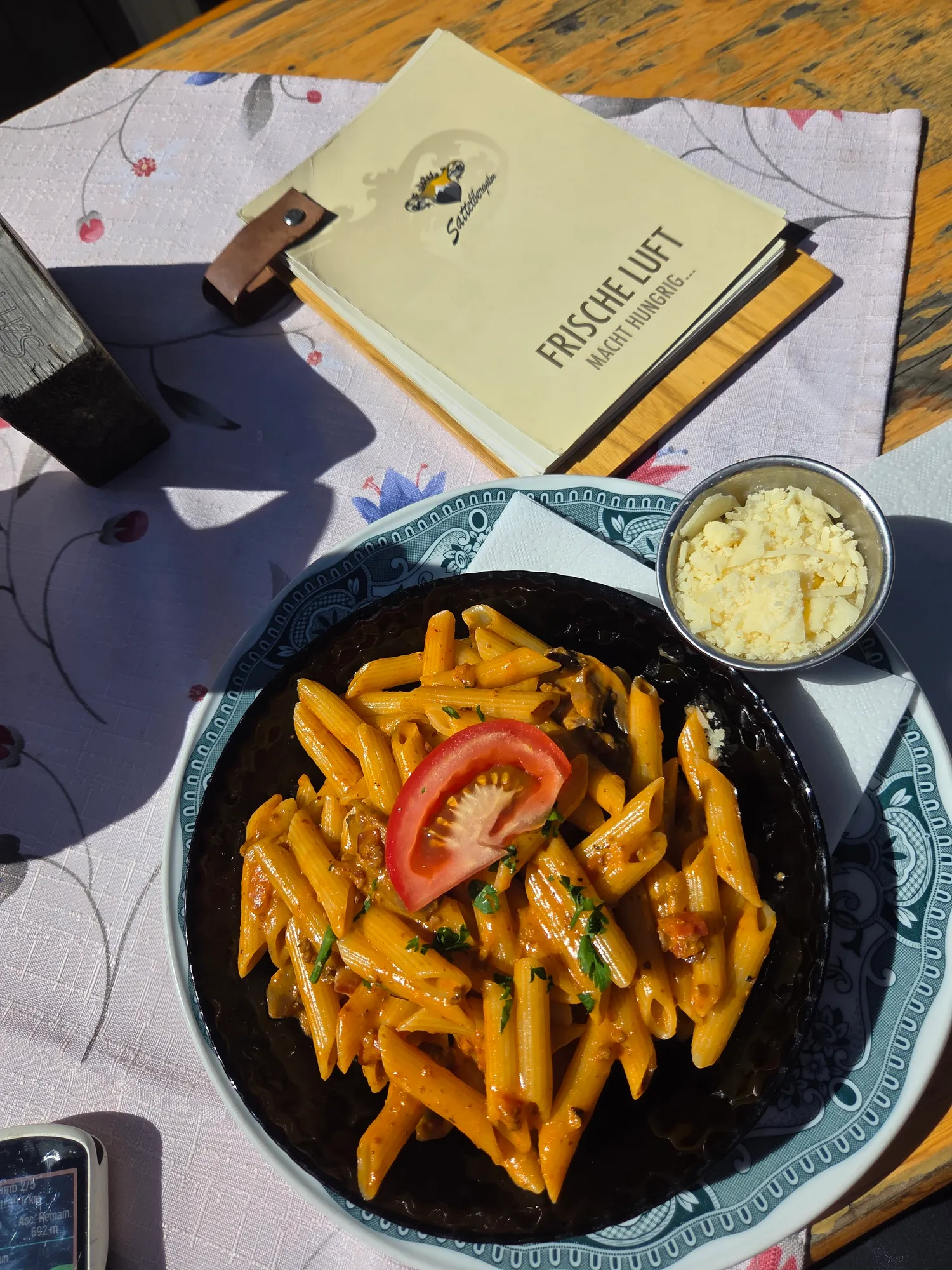 Penne with tomato sauce and grated cheese at the Sattelbergalm