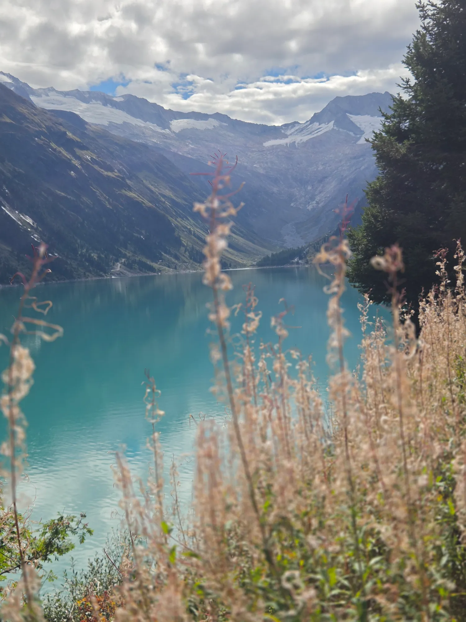 Turquoise Schlegeis reservoir with fireweed in the foreground