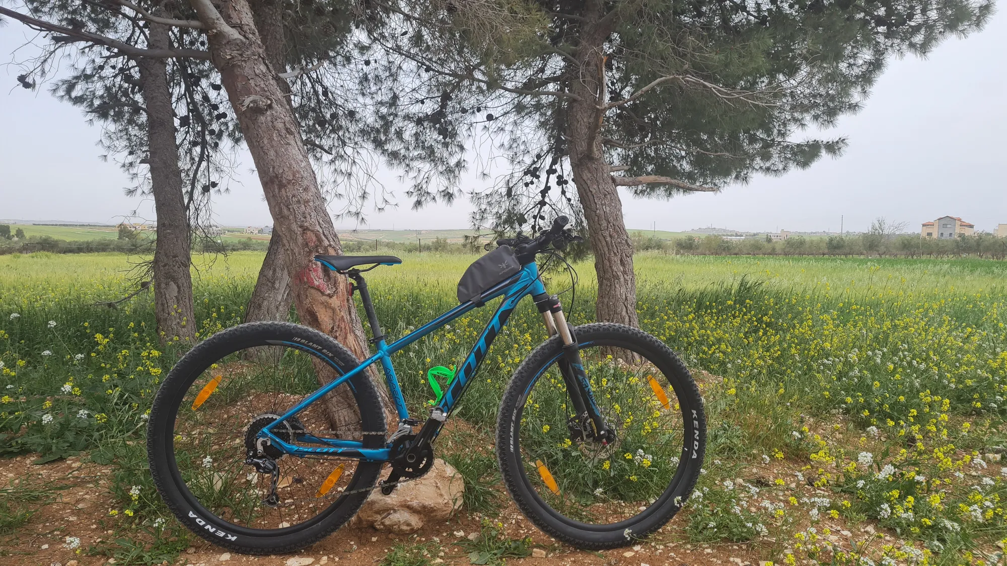 Turquoise mountain bike under pine trees in a green meadow