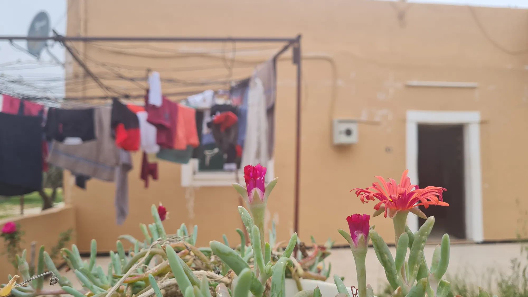 Washing line and red flowers in the courtyard of the homestay in Mukawir