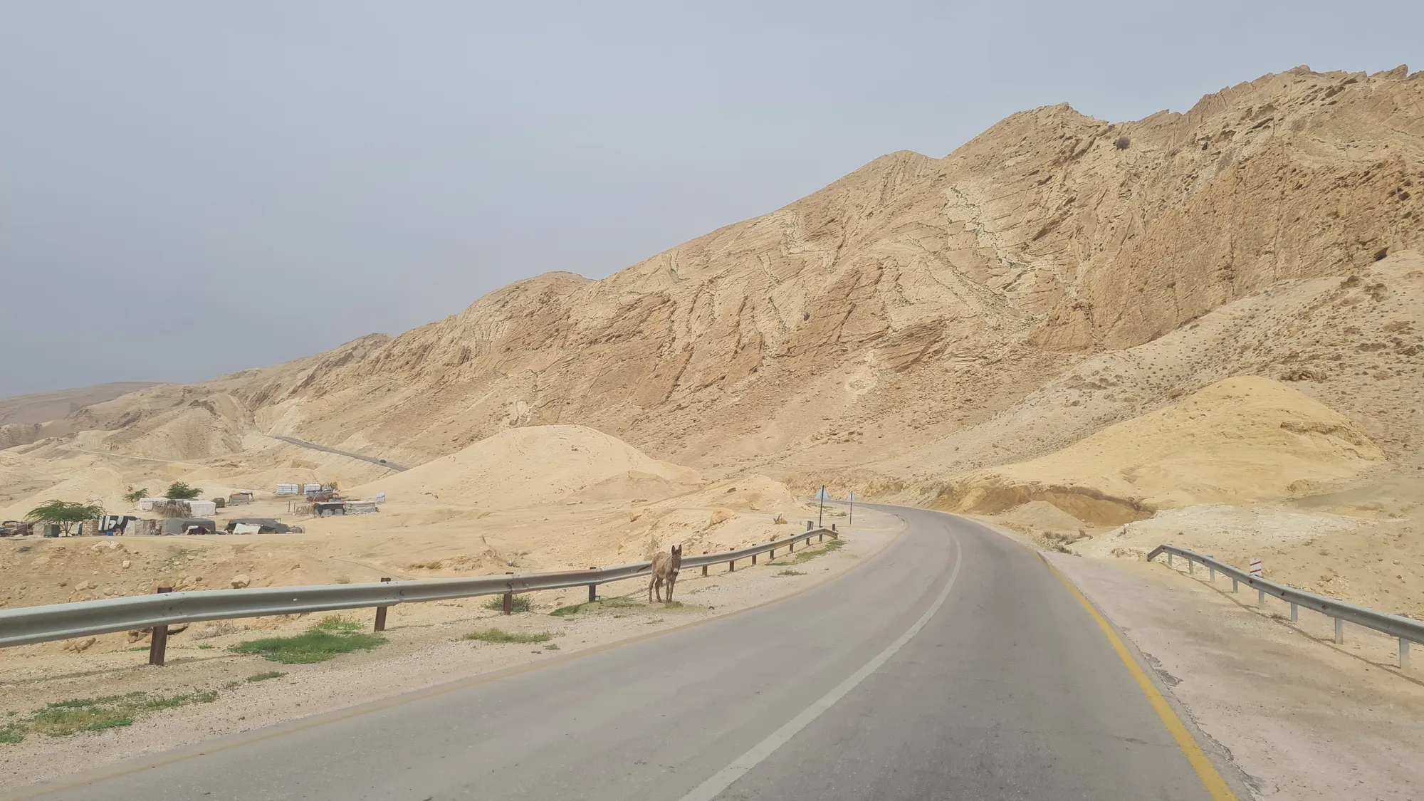 Hairpins on the long climb up to Karak
