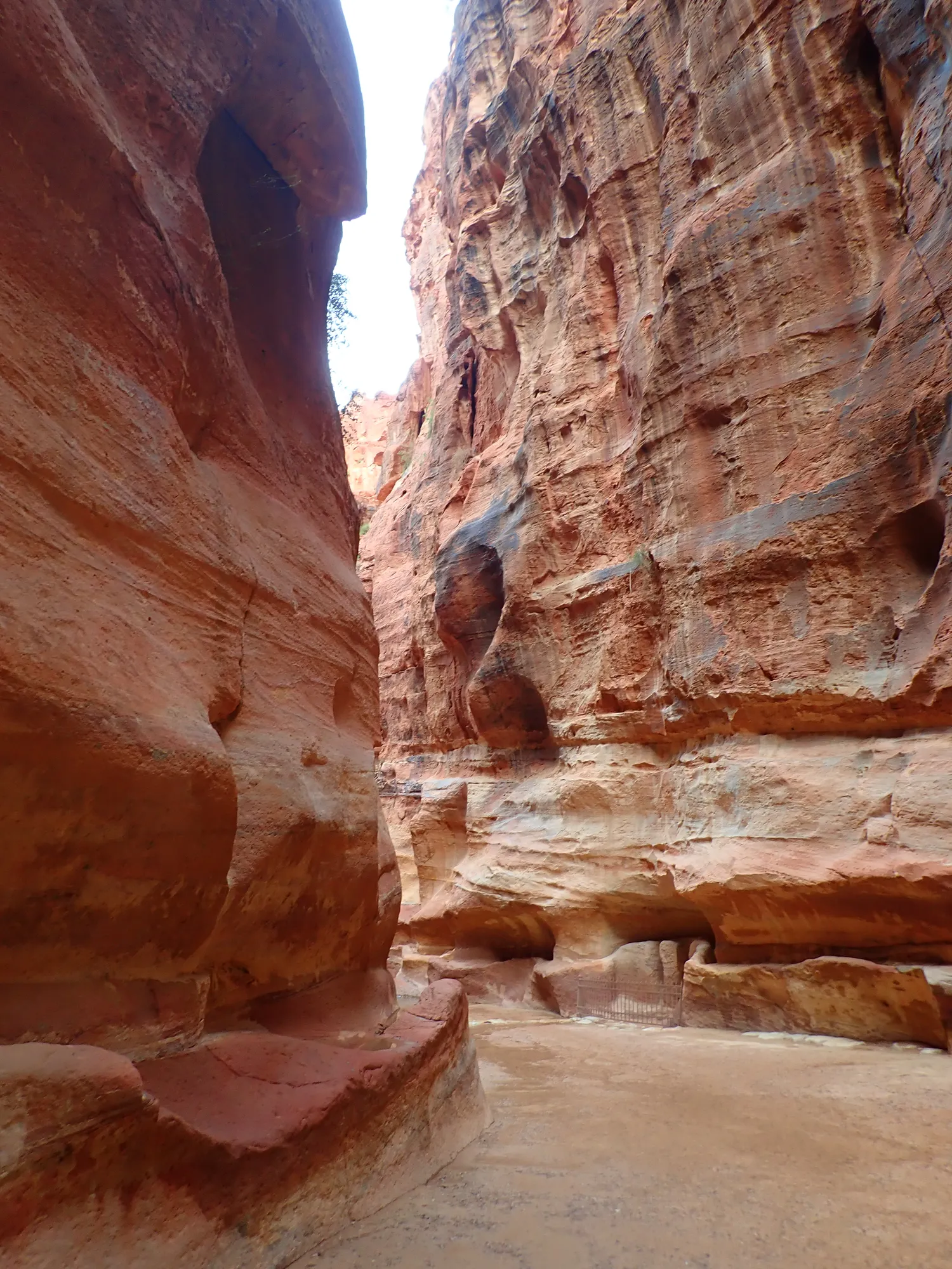 Red rock walls in the Siq, the gorge leading to Petra