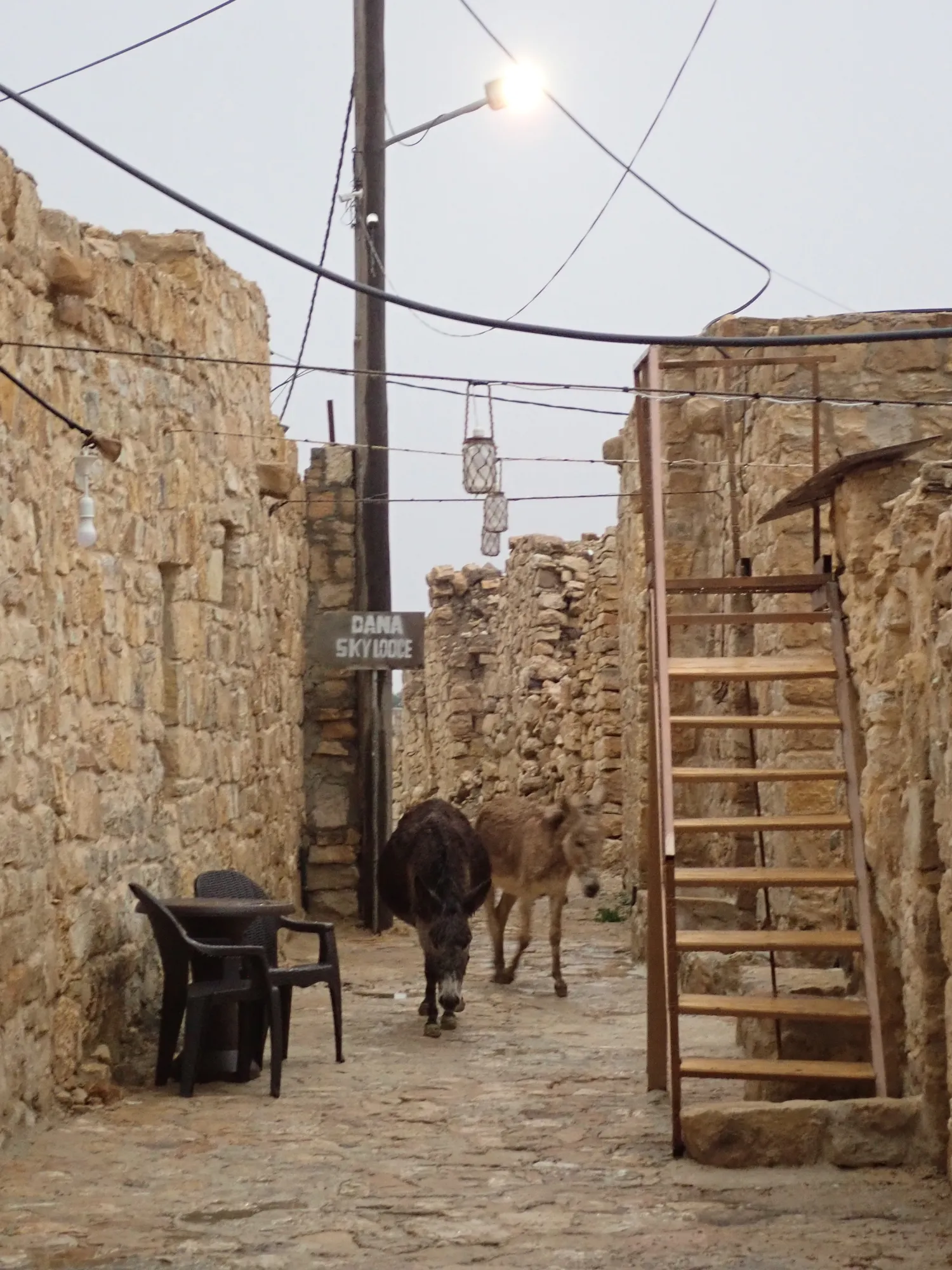 Stone alley in Dana with a donkey