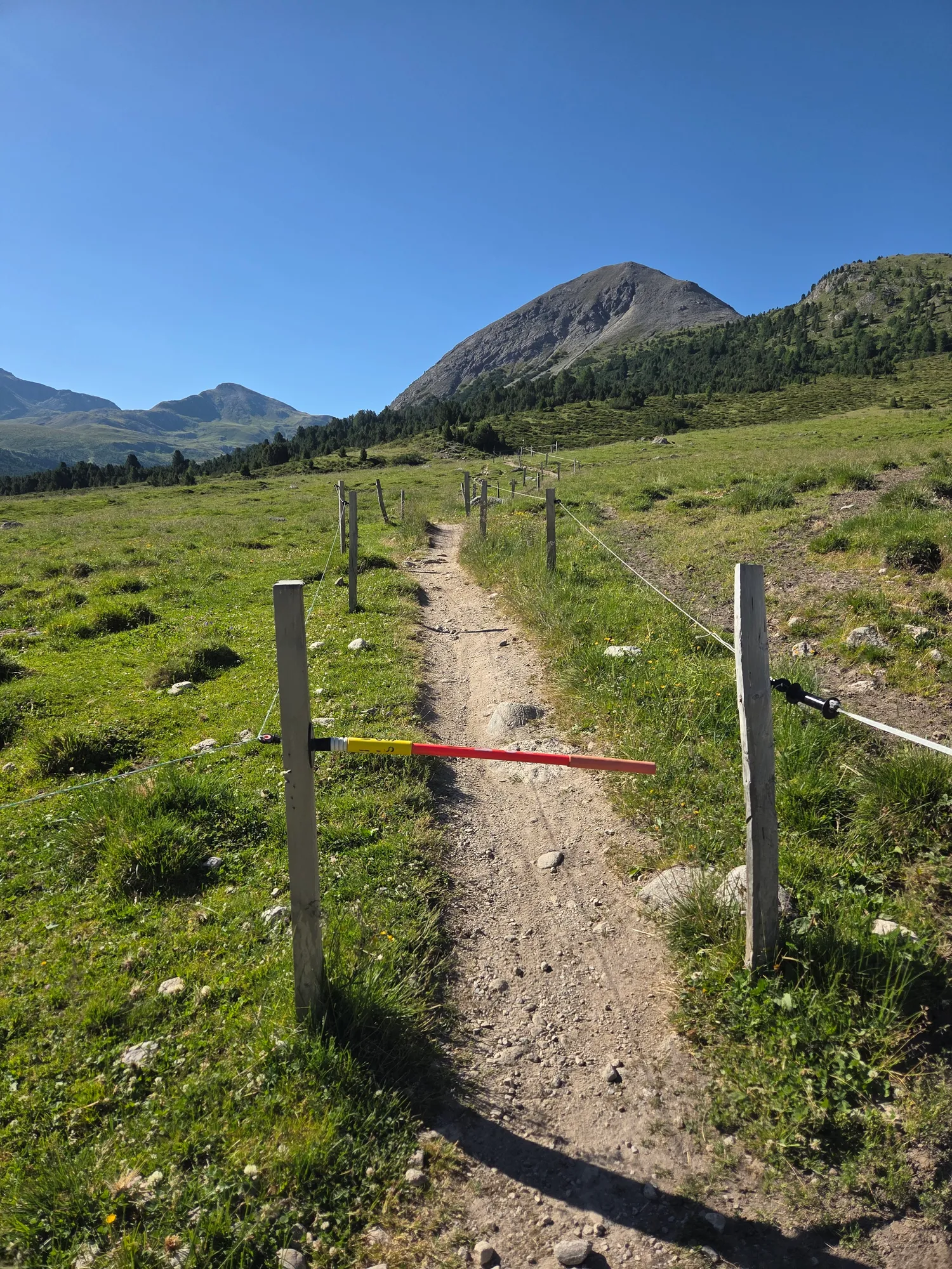 Narrow path across a pasture between wooden posts