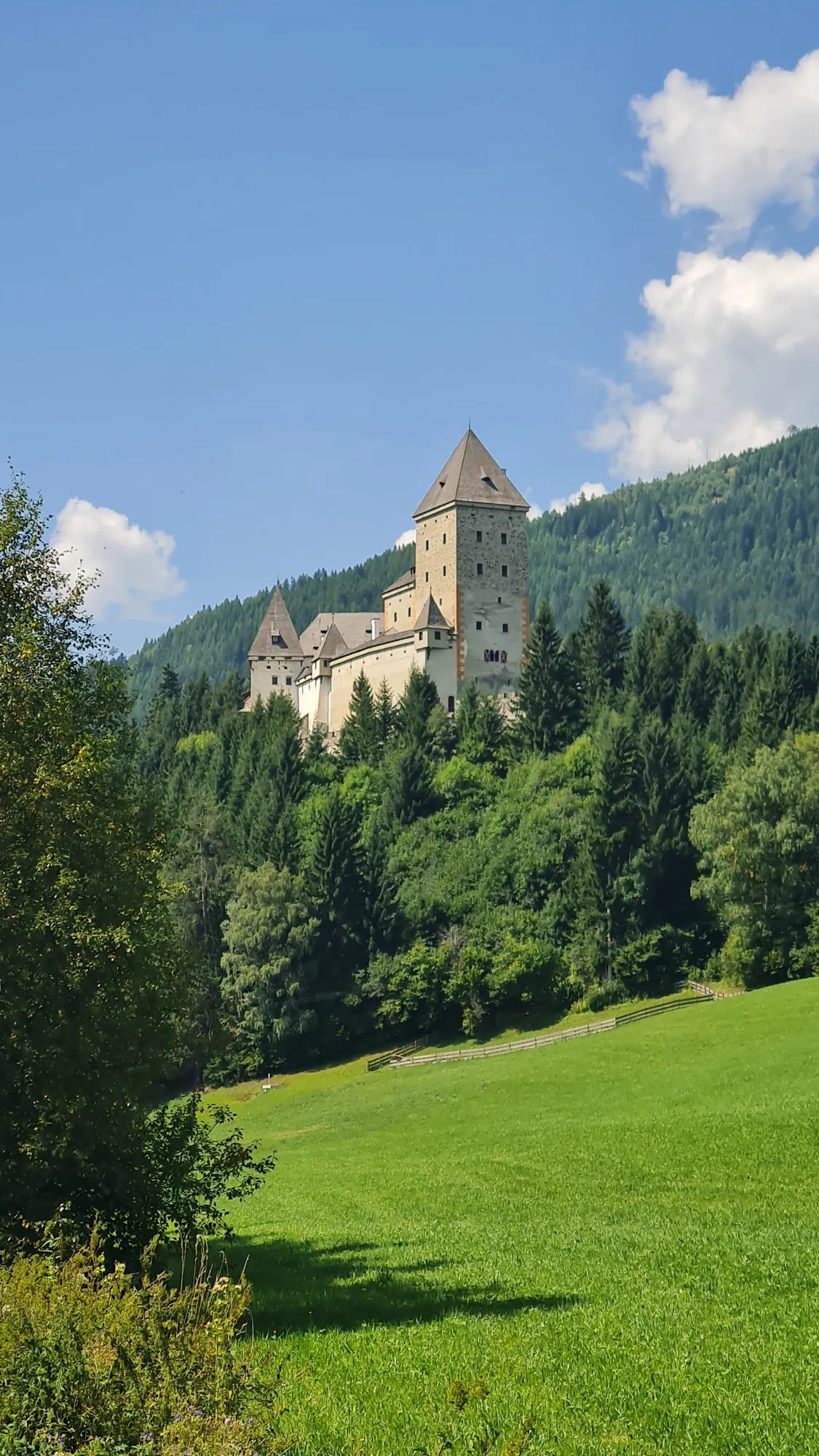 Burg Moosham above a green meadow in the Lungau