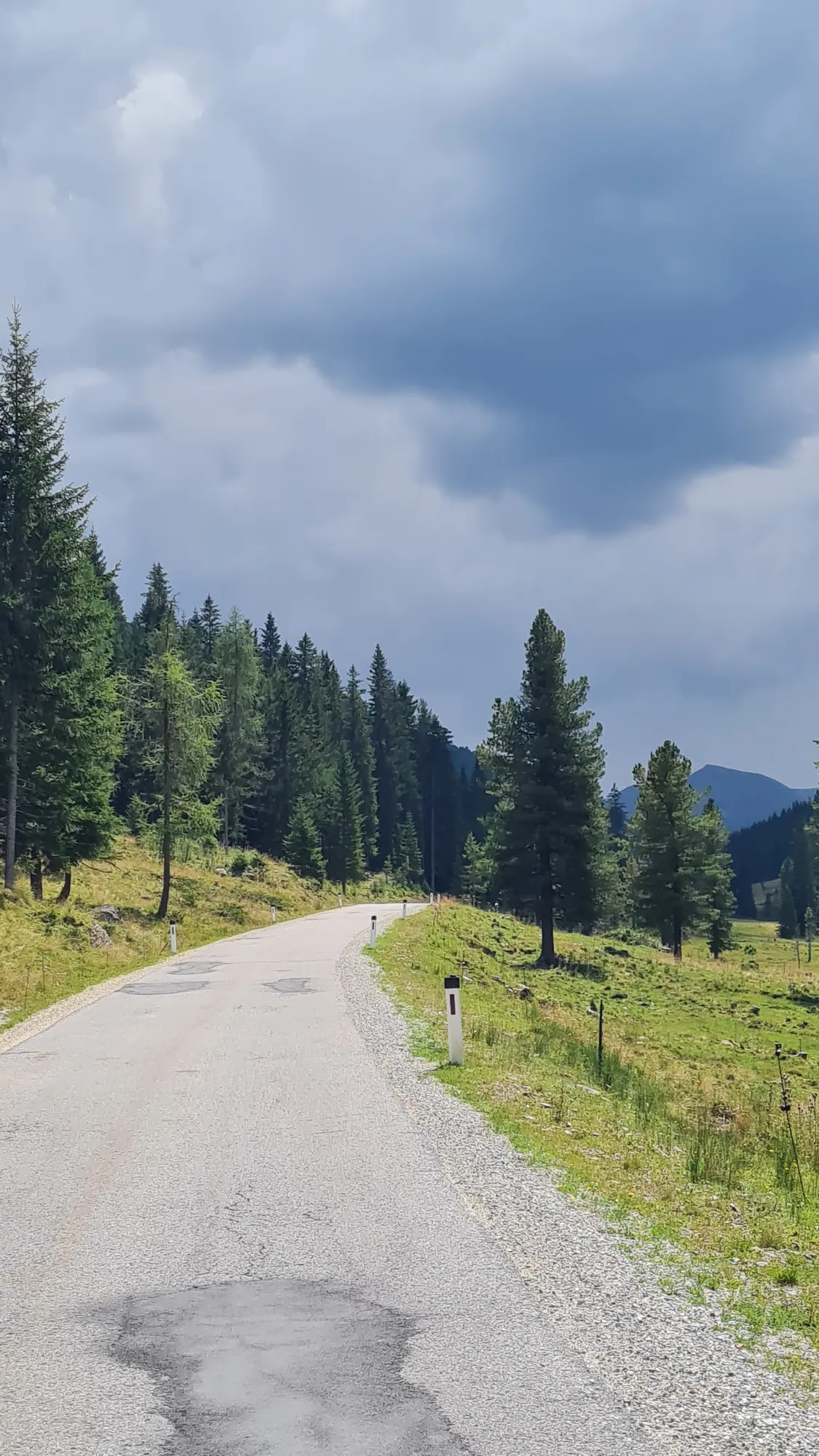 Narrow road through larches and alpine meadows towards Schönfeld