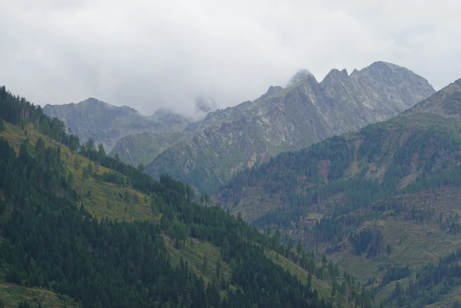 Cloud-covered peaks above wooded slopes