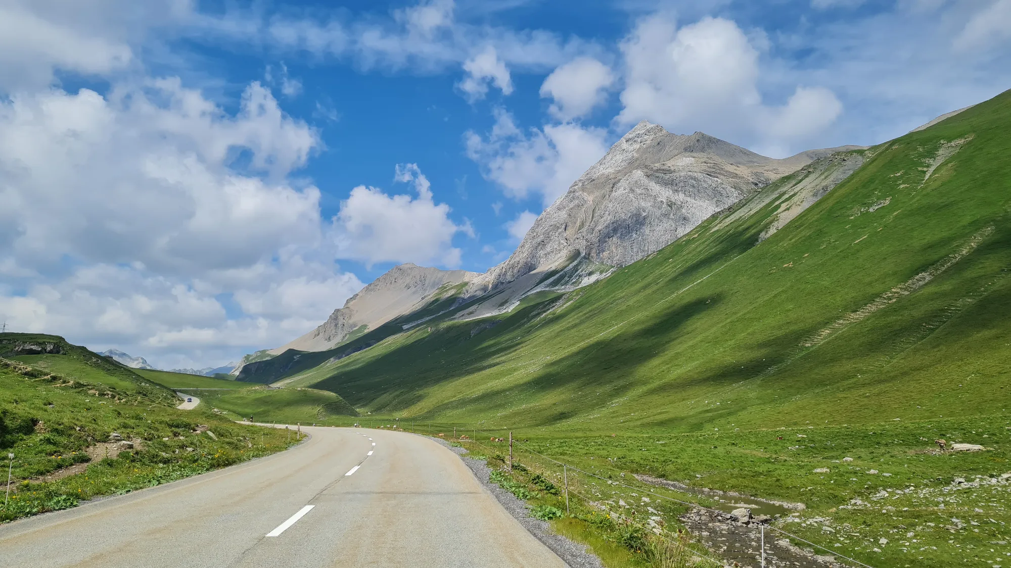 Empty road through green meadows up to the Albulapass