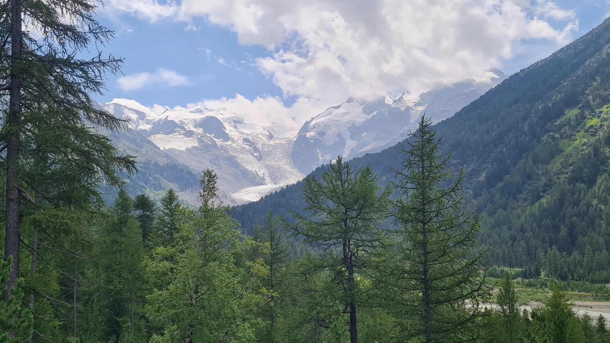 Glacier above the larch forest on the way to the Bernina